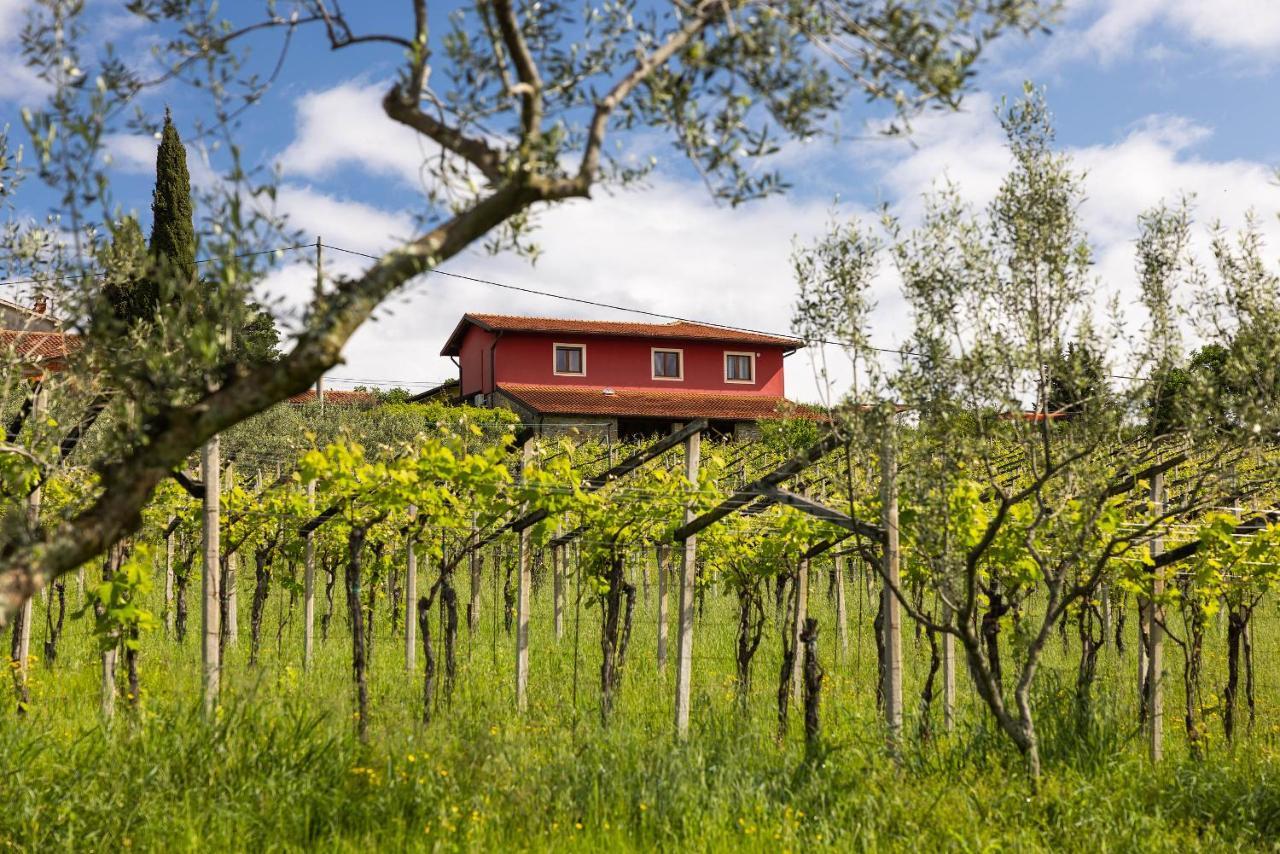 Touristfarm - Apartments "Red Fairytale" マレズィーシュ エクステリア 写真